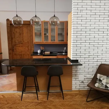 公寓 Classic Apartment, By Downtown & Metro 布达佩斯